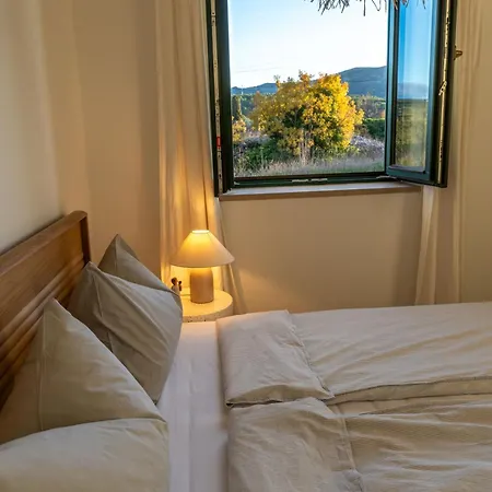 Sjora - 
